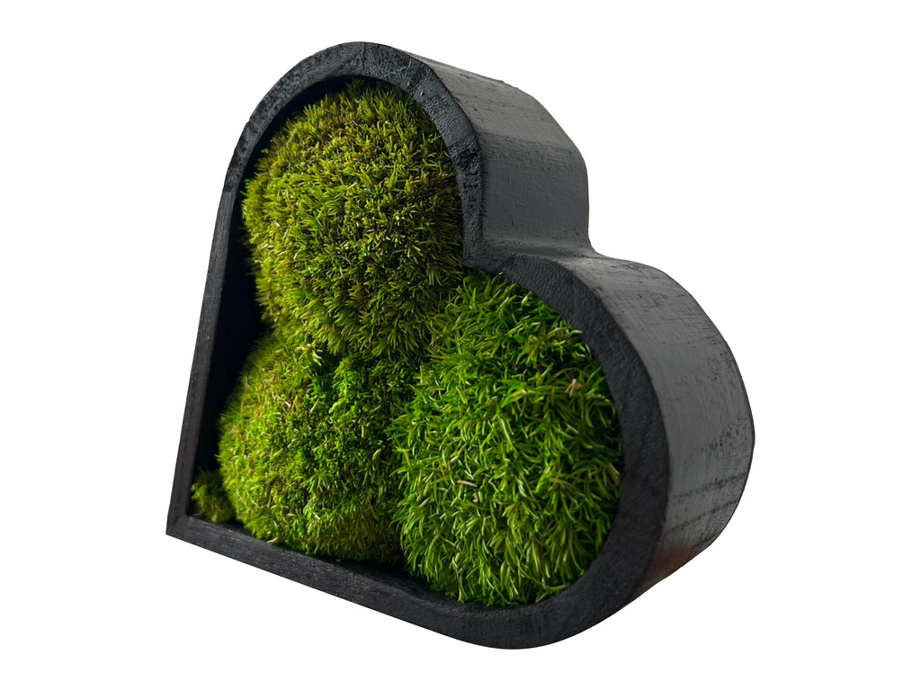 Detail view of heart moss art showing wooden frame and moss structure