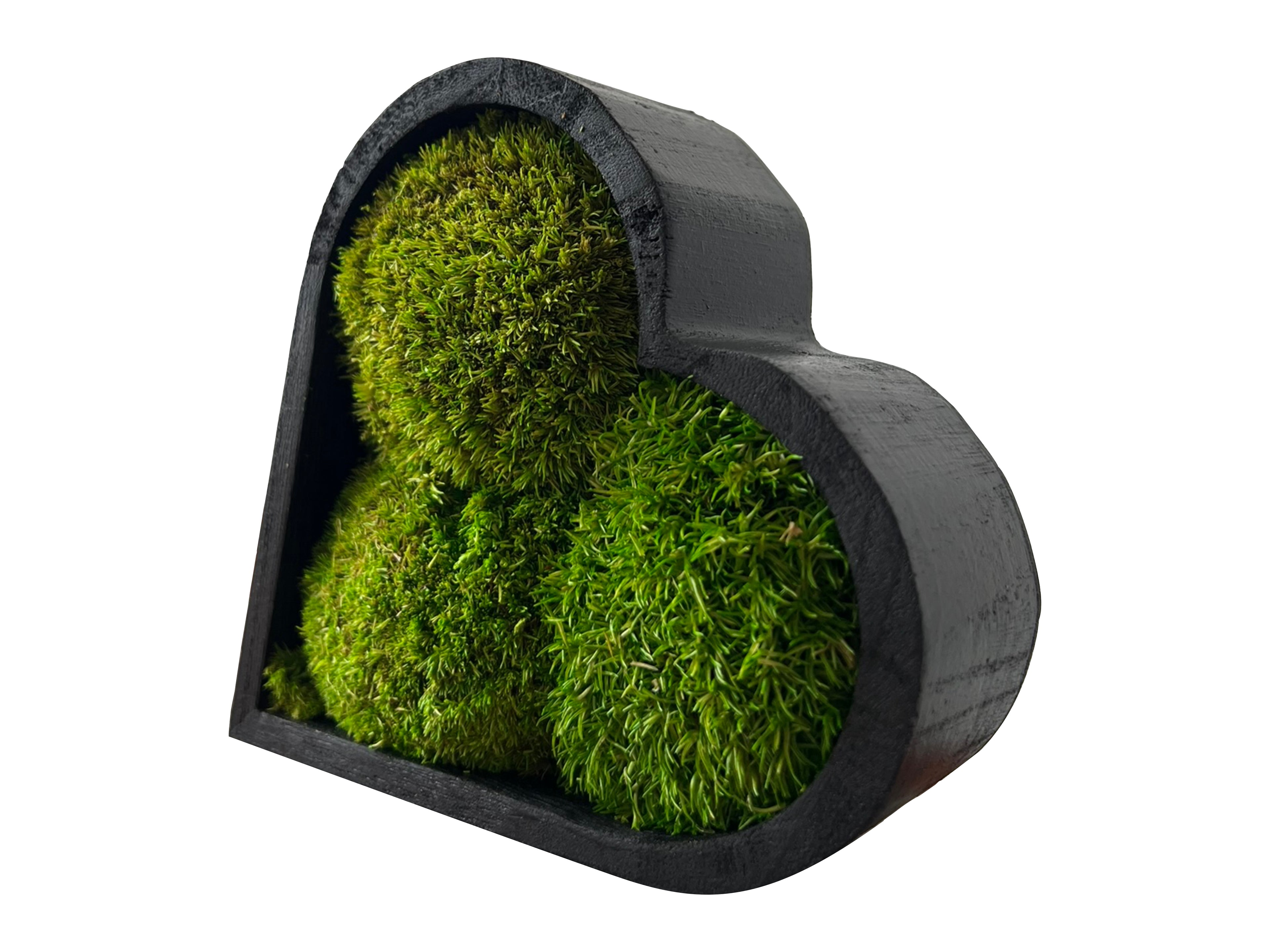 Detail view of heart moss art showing wooden frame and moss structure