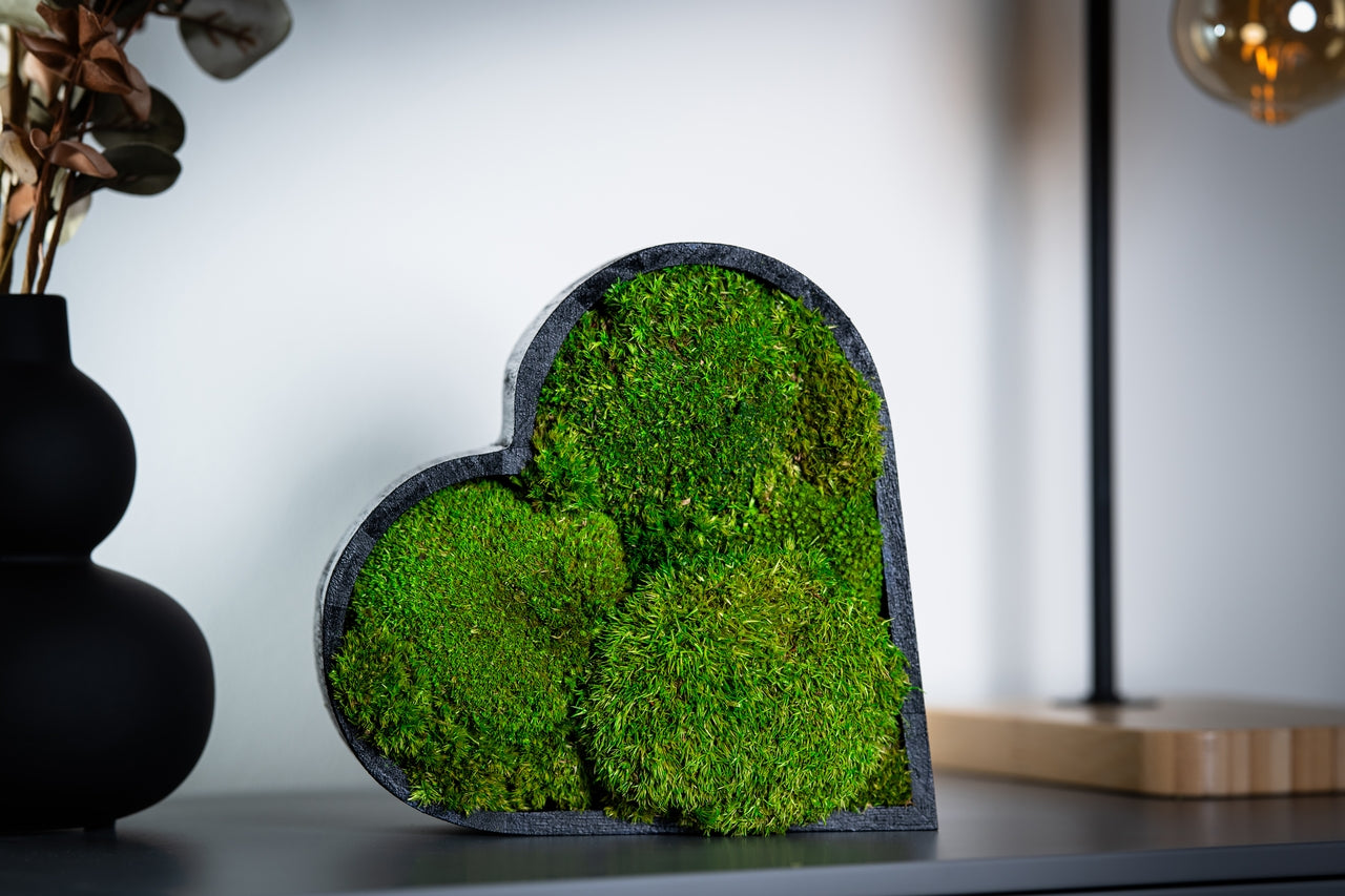 Handmade Icelandic heart moss art with preserved light green BallMoss in black wooden frame