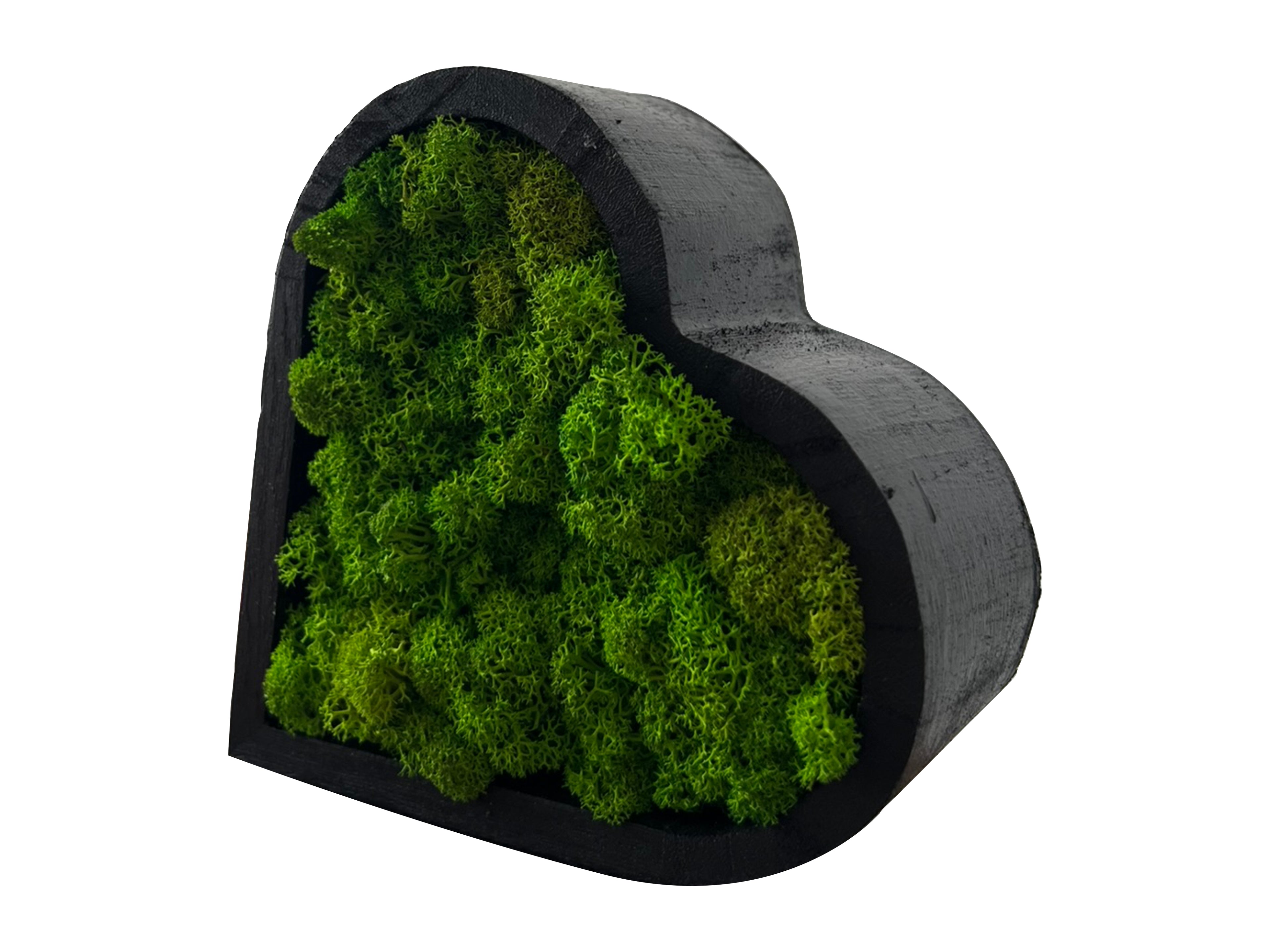 Detail view of heart moss art showing wooden frame and moss structure