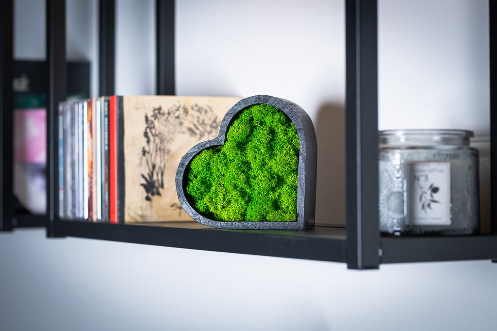 Handmade Icelandic heart moss art with preserved light green Reindeermoss in black wooden frame