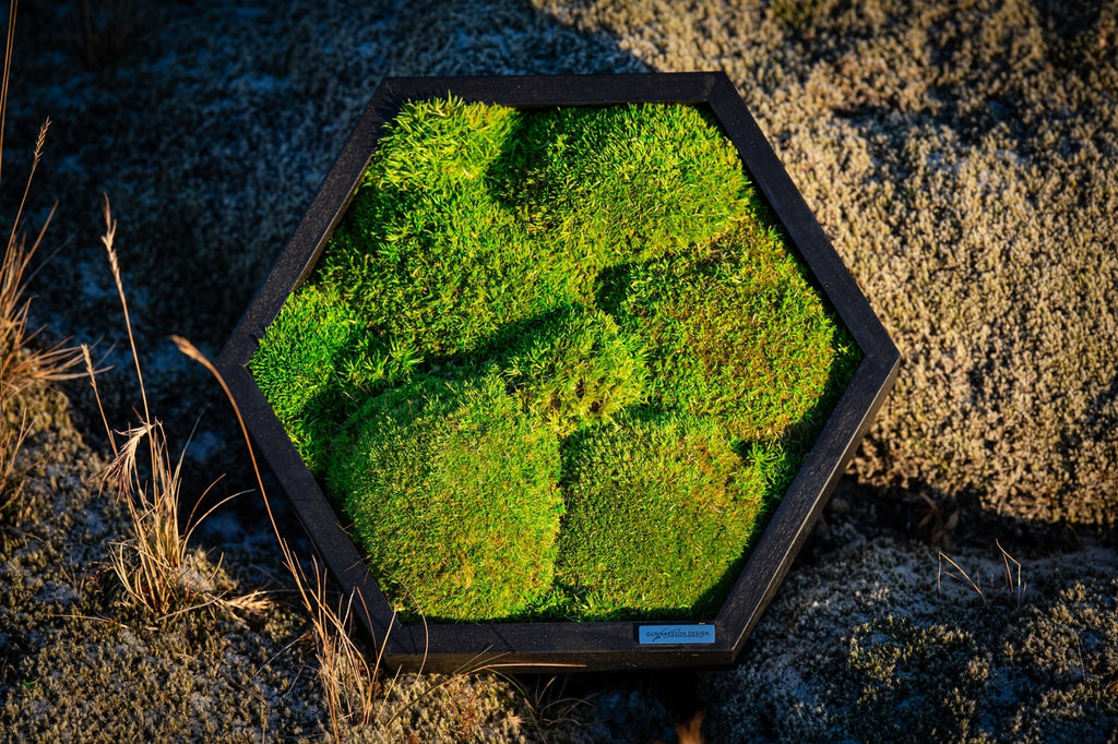 Side view of hexagon moss art showing wooden frame depth and moss detail
