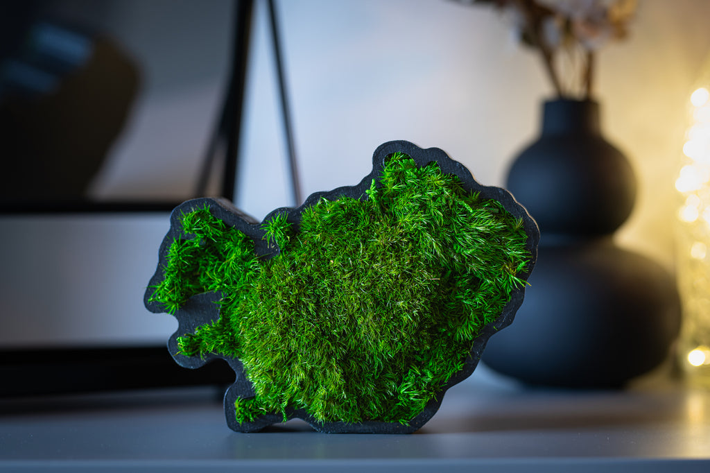Handmade Icelandic moss art Iceland with preserved MoodMoss in black wooden frame