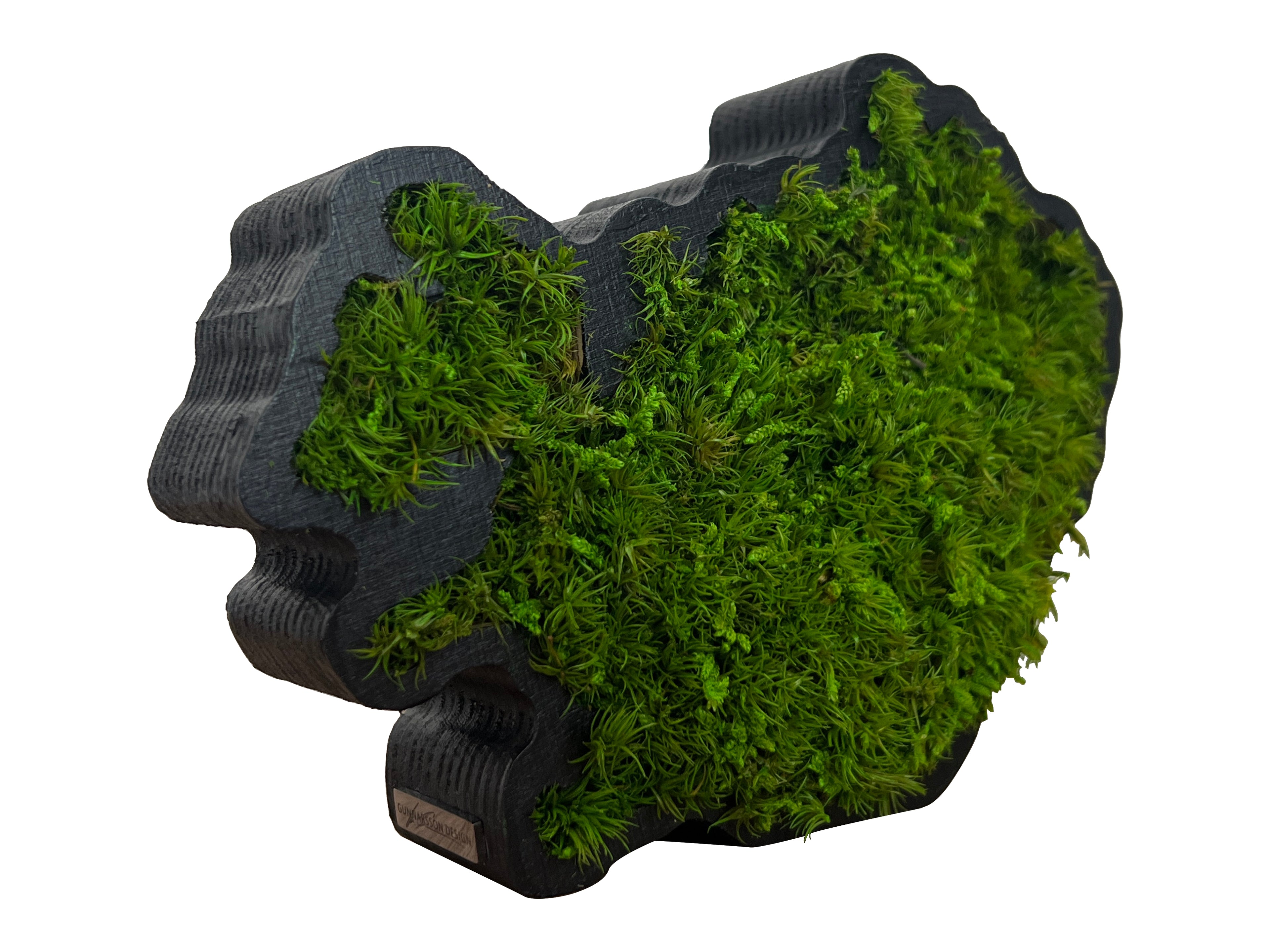 Side view of Iceland moss art showing black wooden frame and moss detail