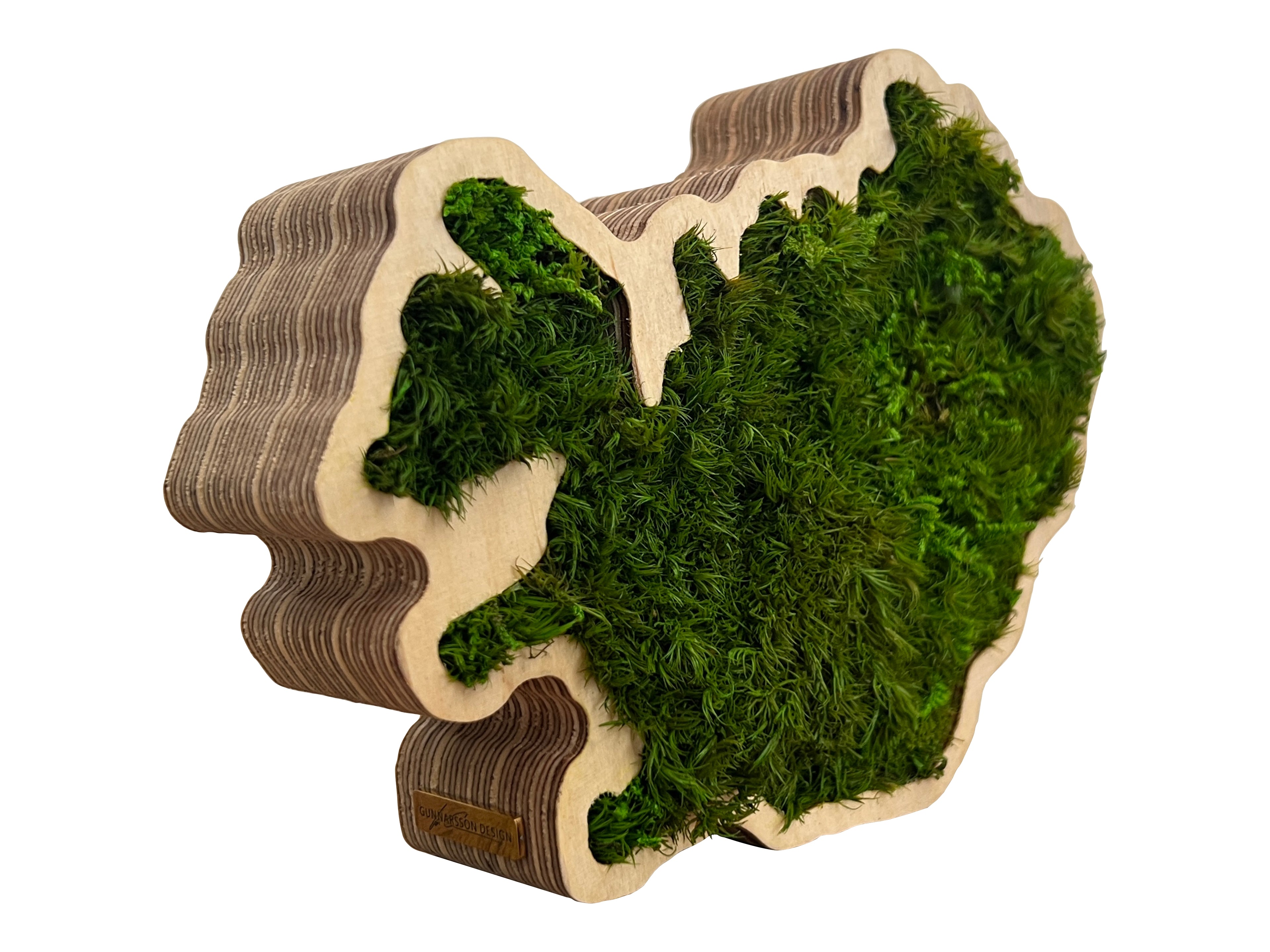 Side view of Iceland moss art showing wooden frame and moss detail