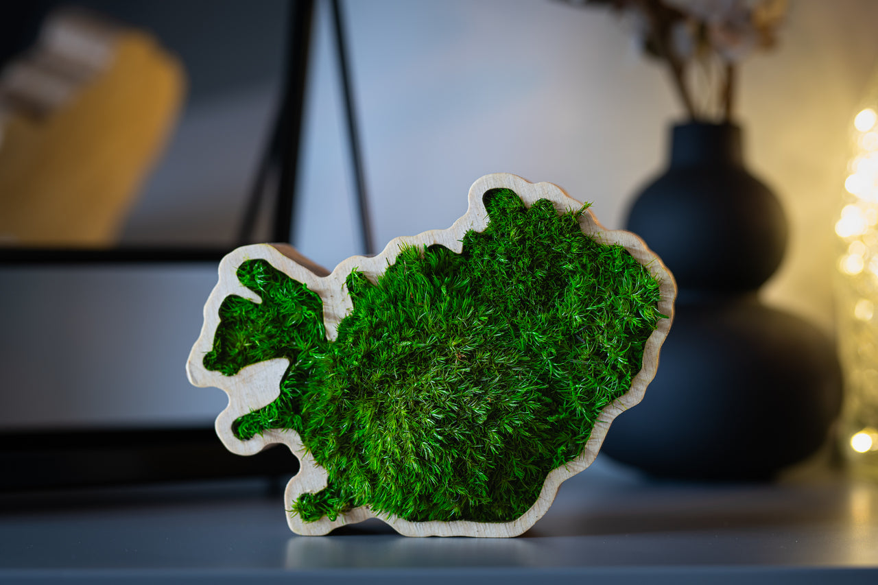 Handmade Icelandic moss art Iceland with preserved MoodMoss in oiled wooden frame