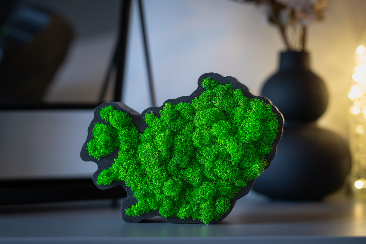 Handmade Icelandic moss art Iceland with preserved Reindeermoss in black wooden frame