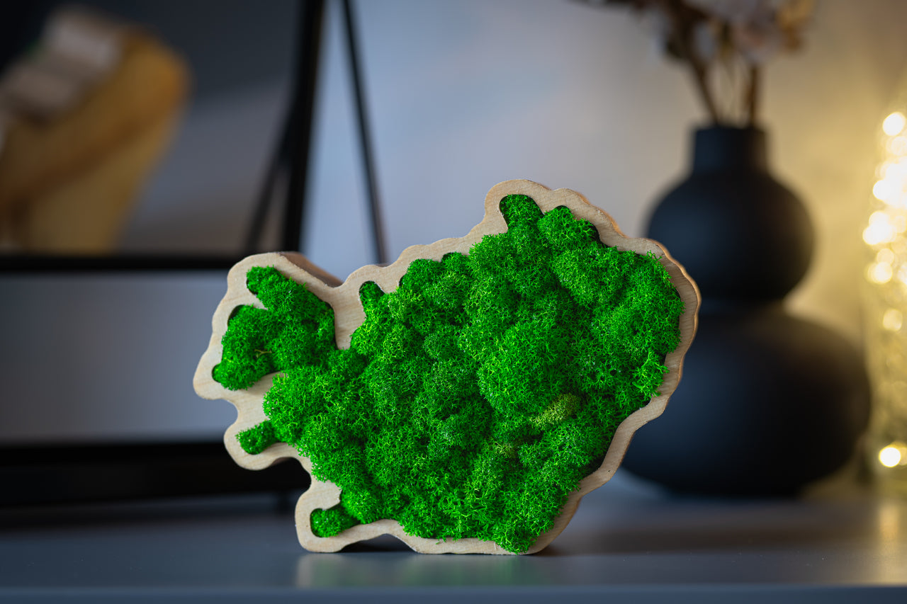 Handmade Icelandic moss art Iceland with preserved Reindeermoss in oiled wooden frame