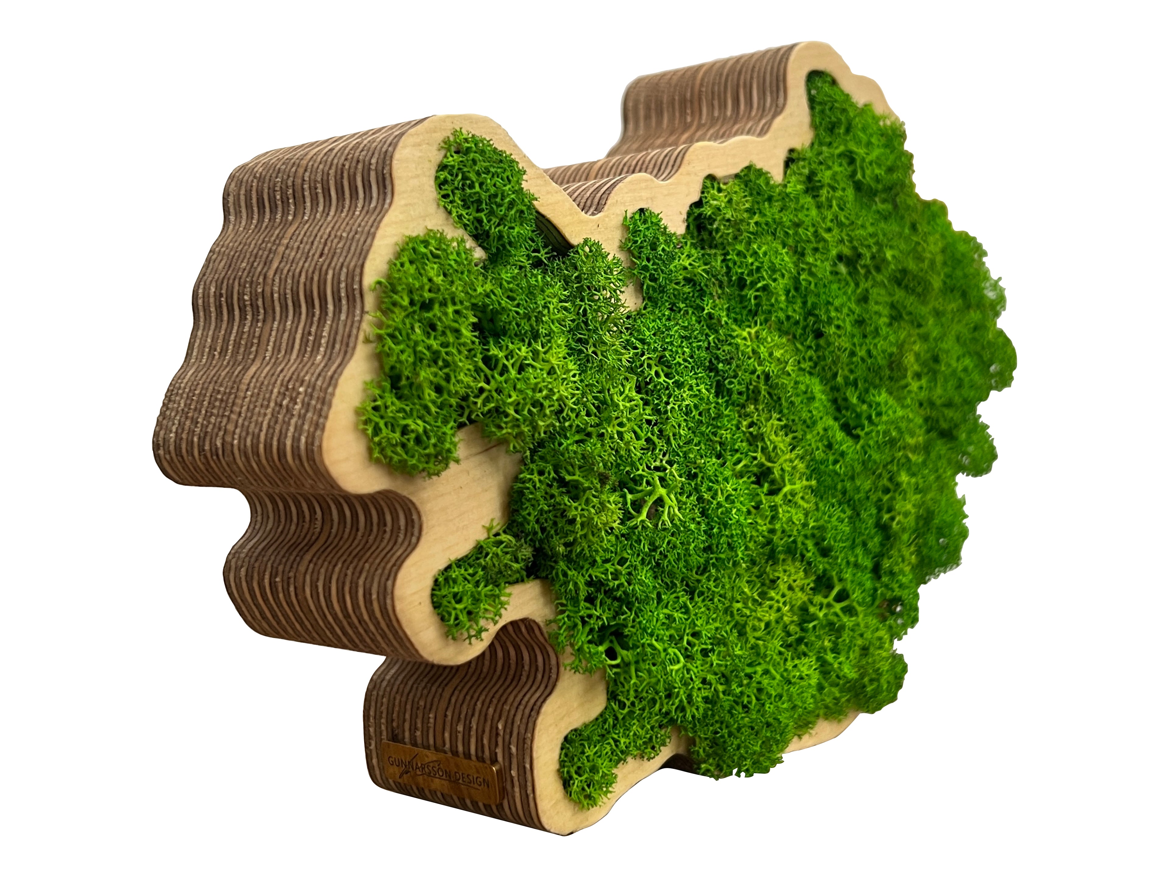 Side view of Iceland moss art showing oiled wooden frame and moss detail