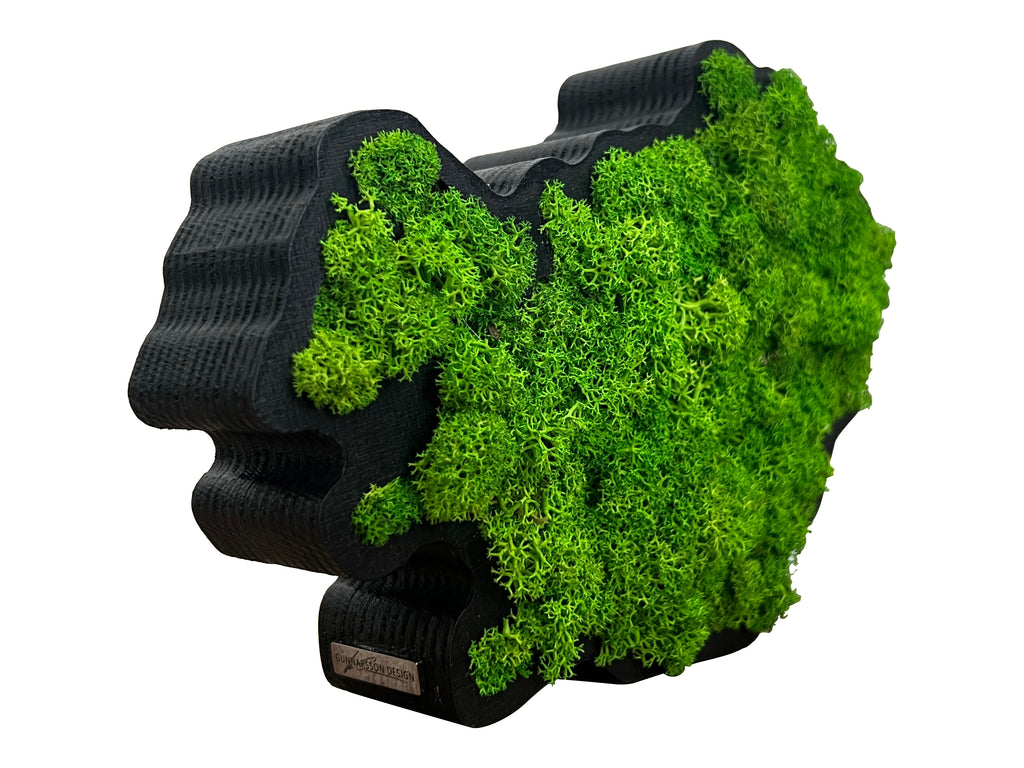 Side view of Iceland moss art showing wooden frame and moss detail