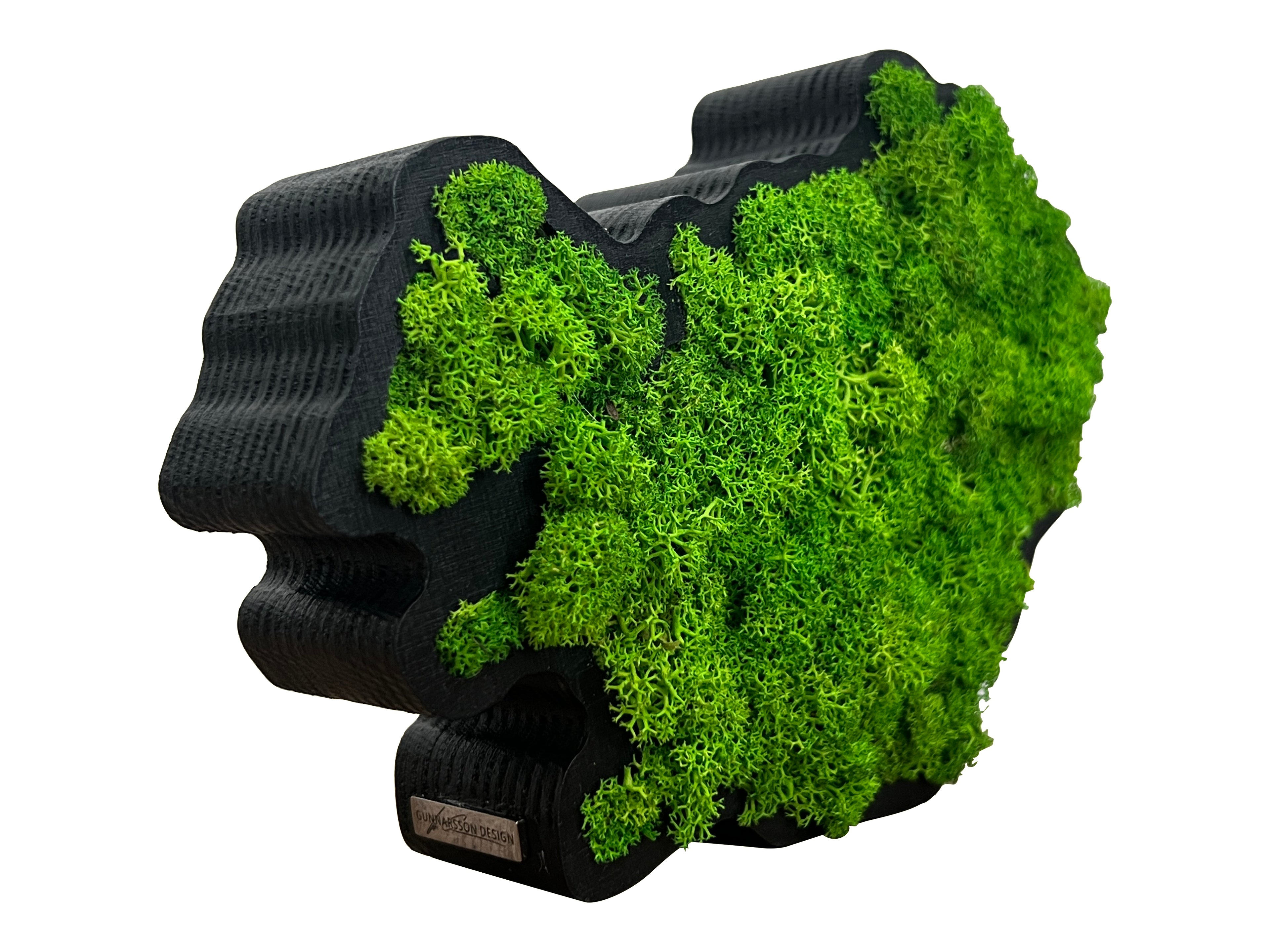 Side view of Iceland moss art showing wooden frame and moss detail